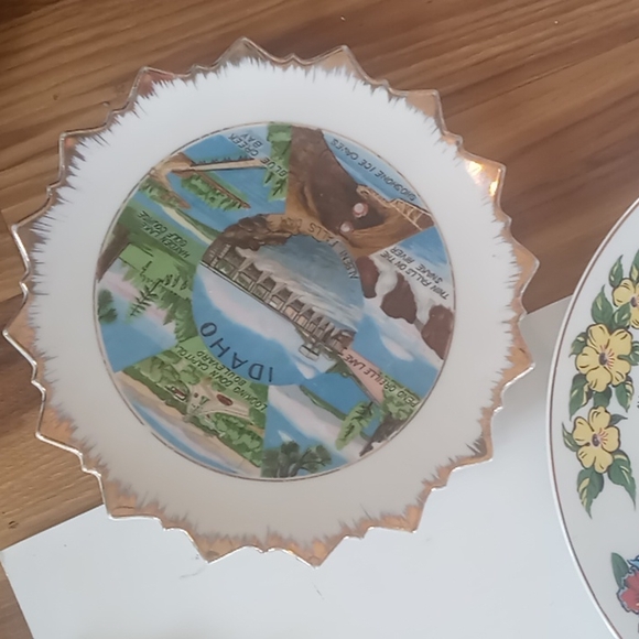 Lot of 8 Vintage State Souvenir Wall Plate Hanger, The 50th State Hand Painted